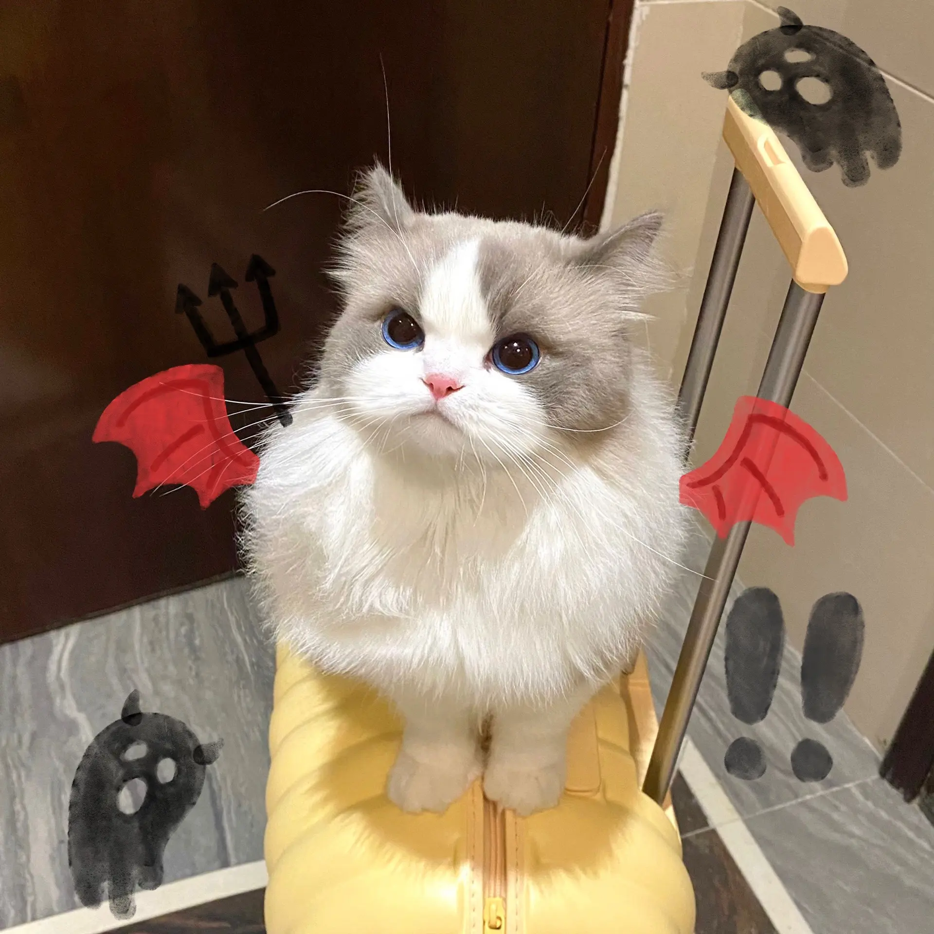 宝宝真的不是小玩具吗。