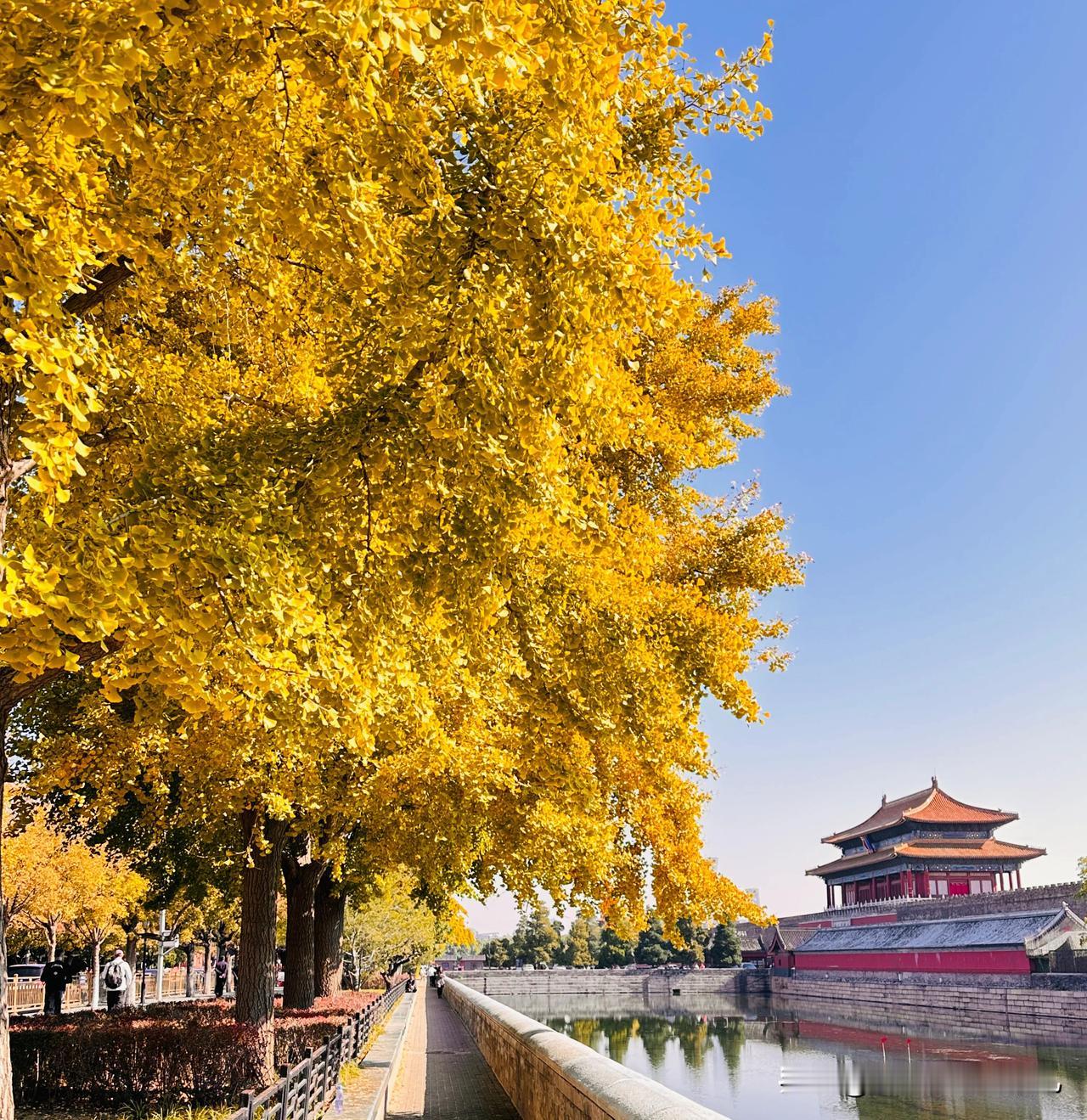 我也知道在哪里，而且几天去去过了，拍不出那效果，我要在地上打滚的，使劲的那种[捂