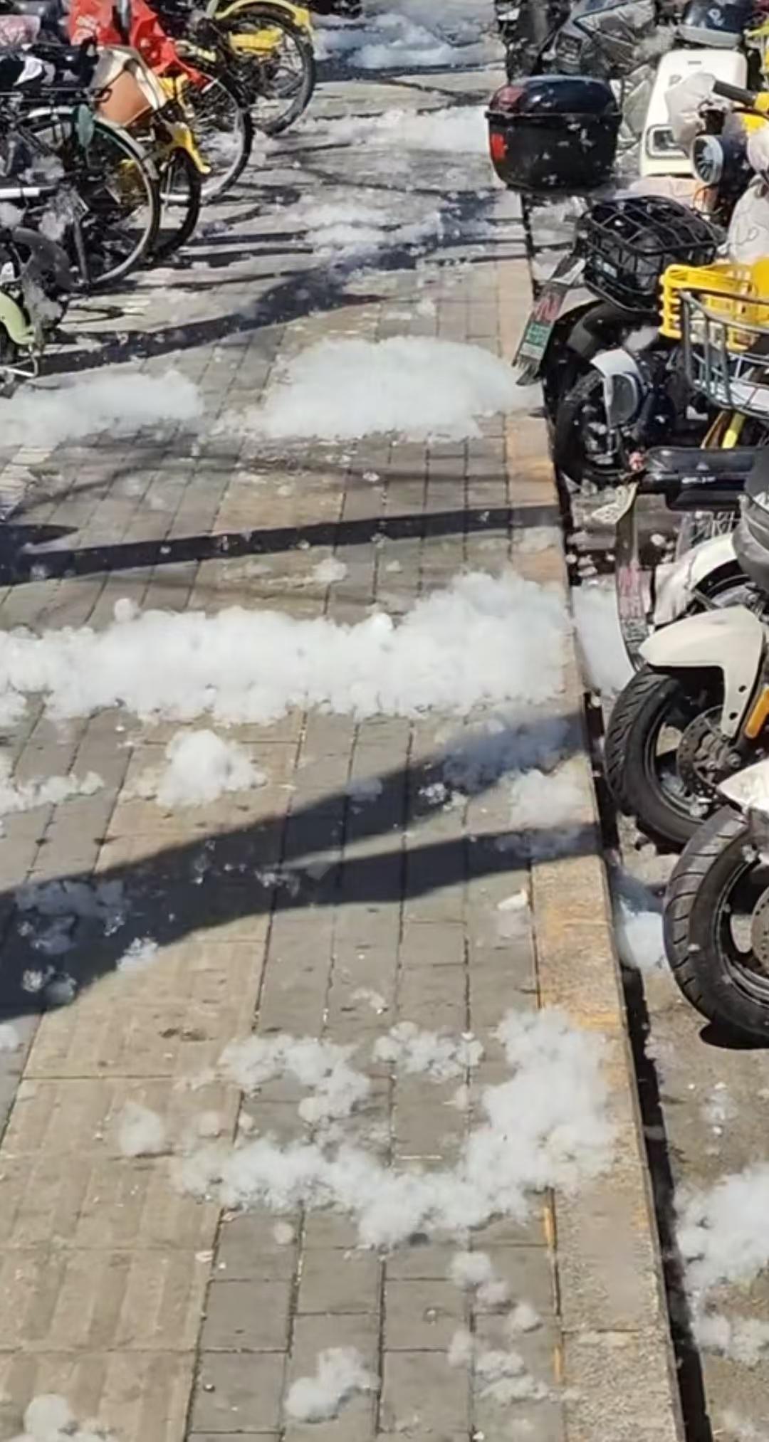 又是一年的杨柳絮高发期！对过敏的人来说很不友好，对我这种不过敏但鼻子难受的也不友