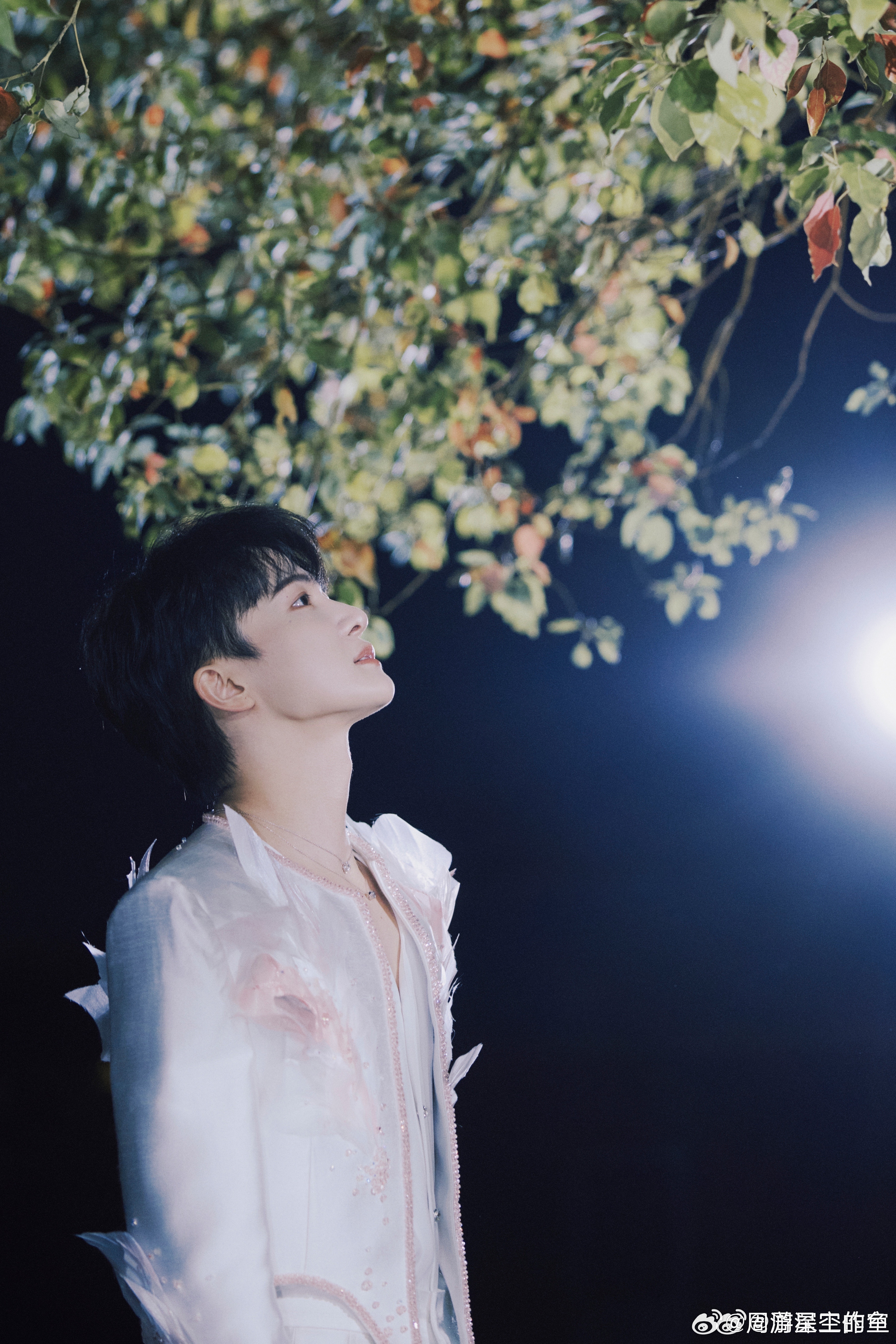 周深 1️⃣腾讯音乐由你榜🌅周深献唱白日提灯主题曲初醒听 万籁轰鸣，如寒冰化作