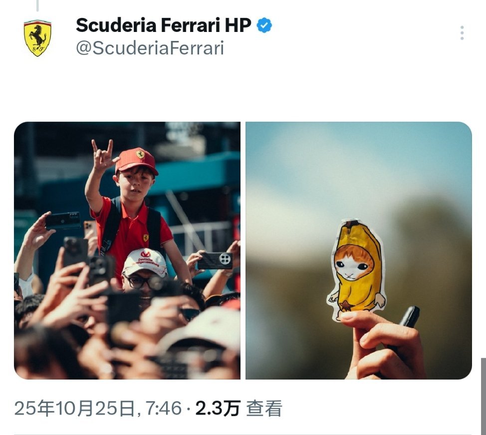 嗯👀……这不“香蕉猫🍌🐈”嘛[doge]F1赛车2025F1墨西哥城大奖赛