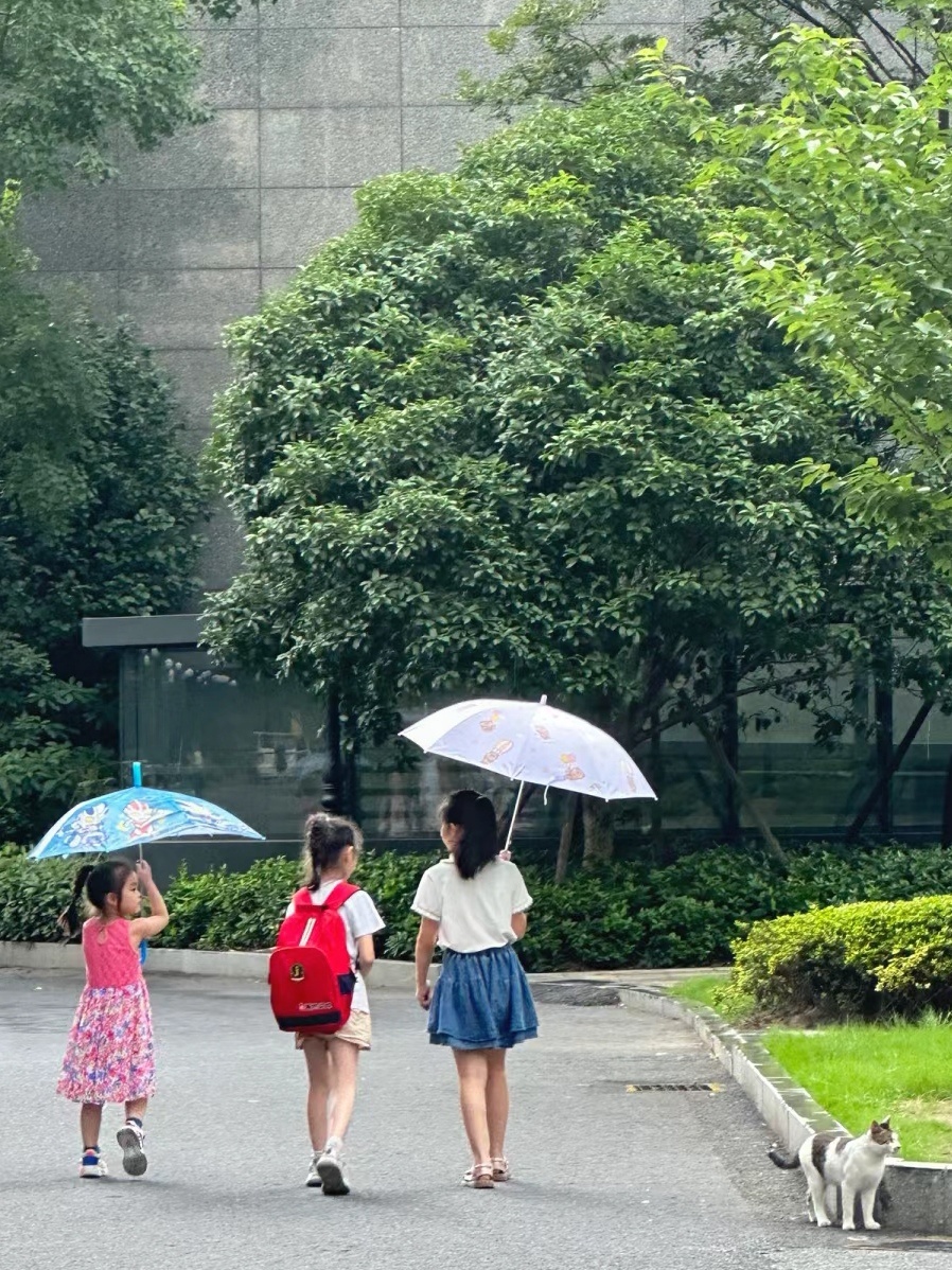 下雨天小女孩们给流浪猫撑伞雨慢慢小了之后小女孩们回家，两边的小女孩还同时把伞往中