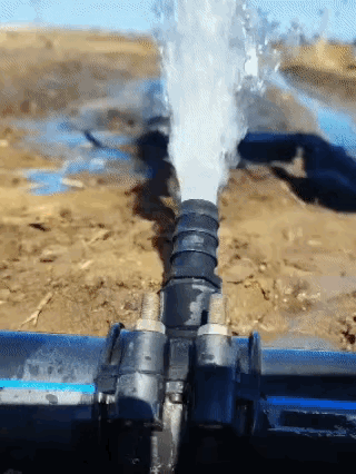 远古时期人类的智商[尬笑] 