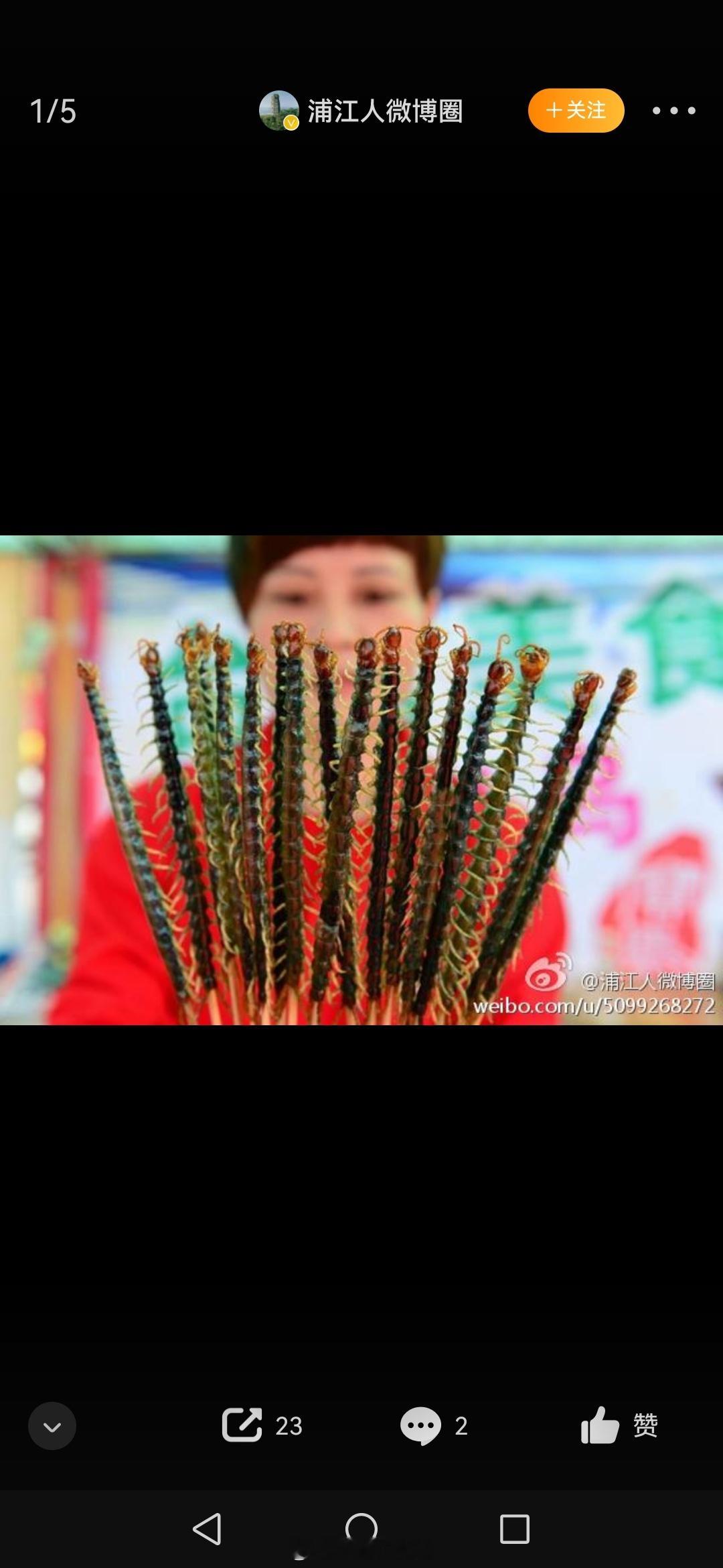 #吃货在这里# 都说虫药猛有小毒，很多地方烧烤摊上炸蜈蚣，一根一条，一吃十几条，