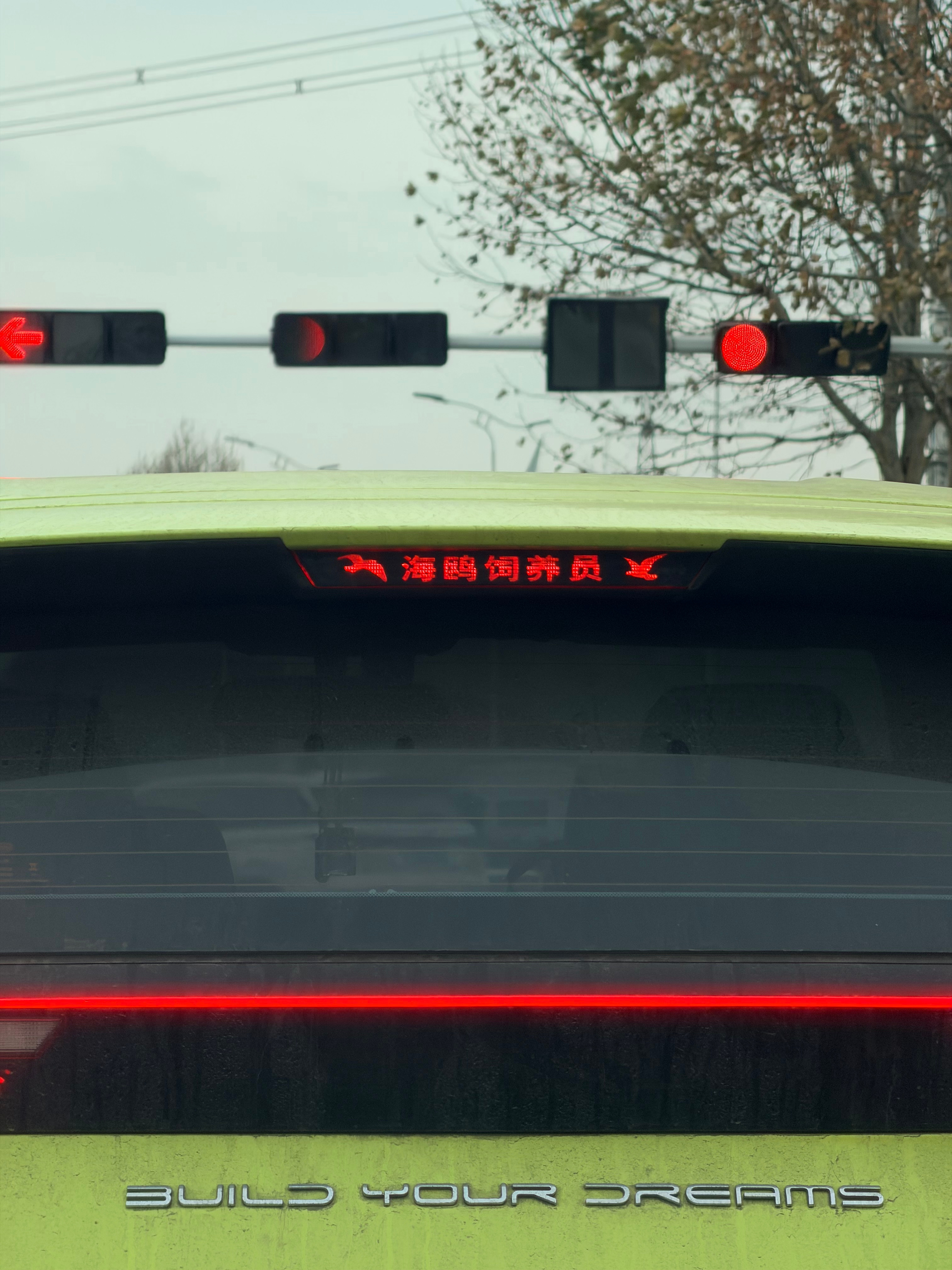 世界破破烂烂，总有人缝缝补补。发现世间的小美好～新能源汽车我和汽车的日常比亚迪海