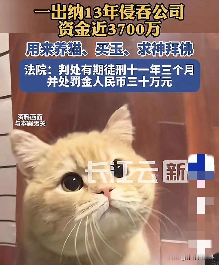 家人们，这事儿真的刷新三观！上海有个公司老出纳陶某，13年里偷偷摸摸卷走了公司近