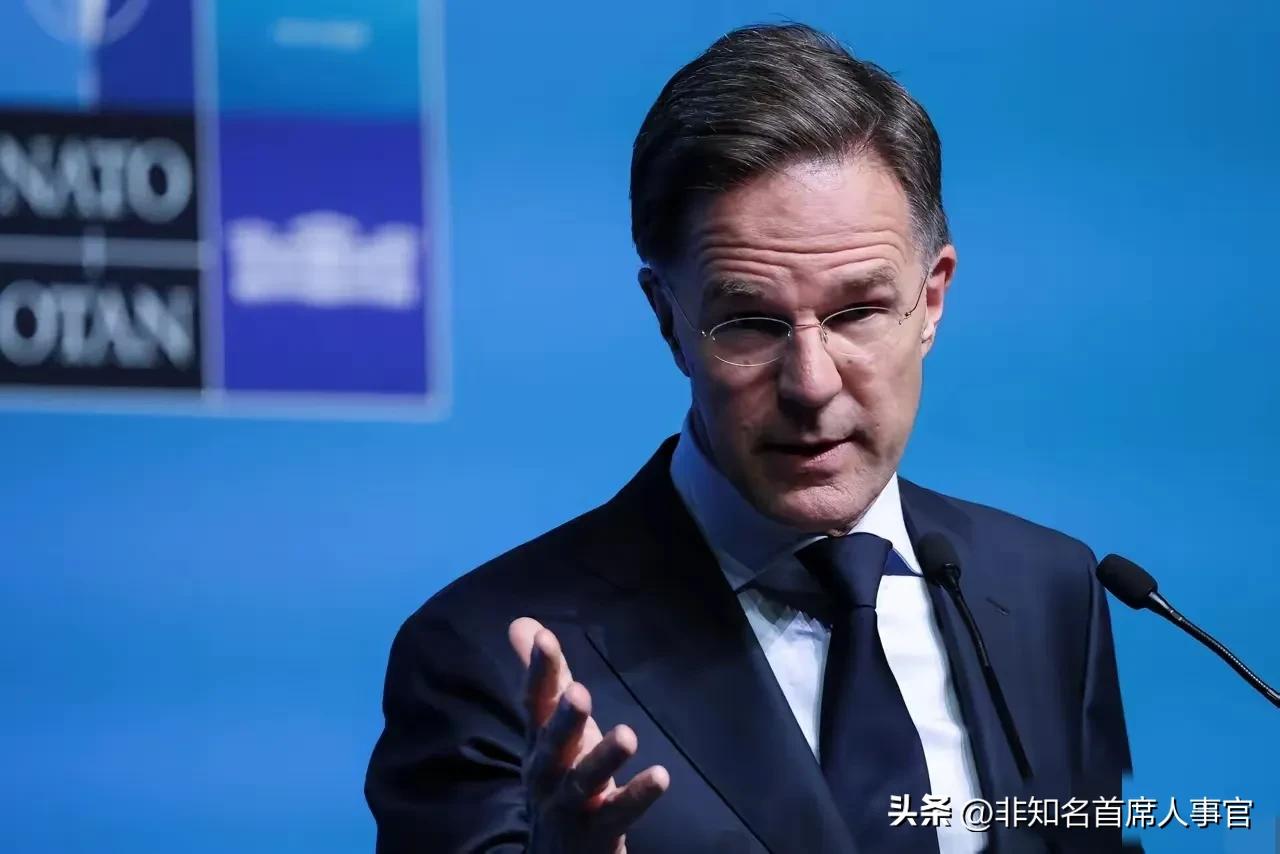 【北约这个货！中国倒想再较量一番】

现在全球最强大的军事联盟，就是北约这个畸形