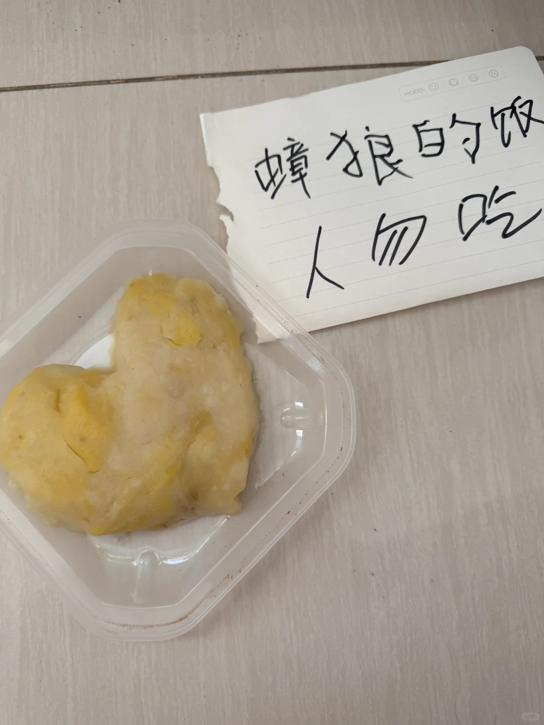 服了😓男朋友天天给蟑螂做饭，把蟑螂喂胖了！