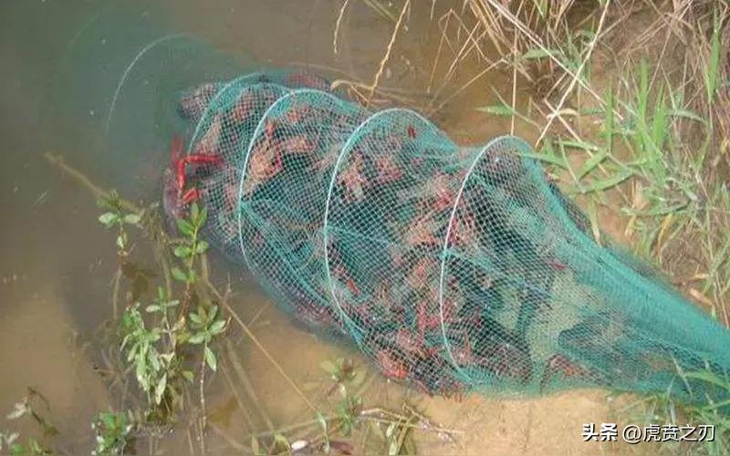 最新披露：柳州两男子用电鱼、放地笼等方式捕鱼并兜售，交易金额4.6万余元，均被判