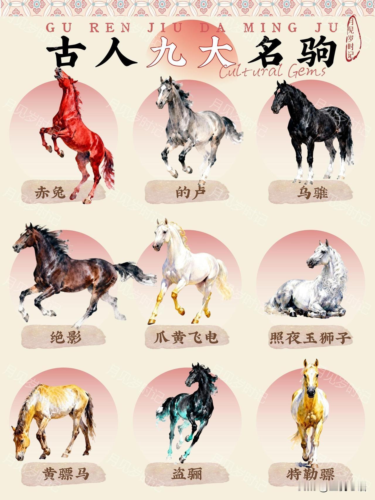 马年必懂！聊聊古人九大传世名驹。
马年聊名驹，越聊越上头！
这九匹神驹简直把“忠