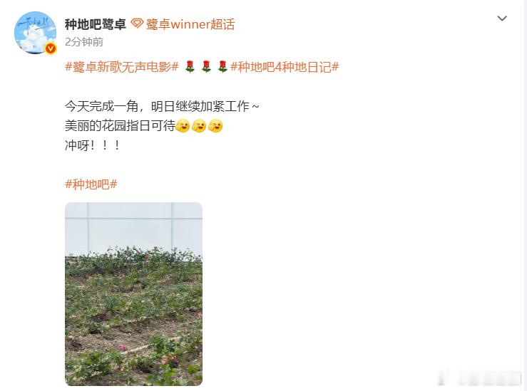 鹭卓美丽的花园指日可待、鹭卓今天完成一角鹭卓踏实努力不骄不躁，今日完成花园一角，