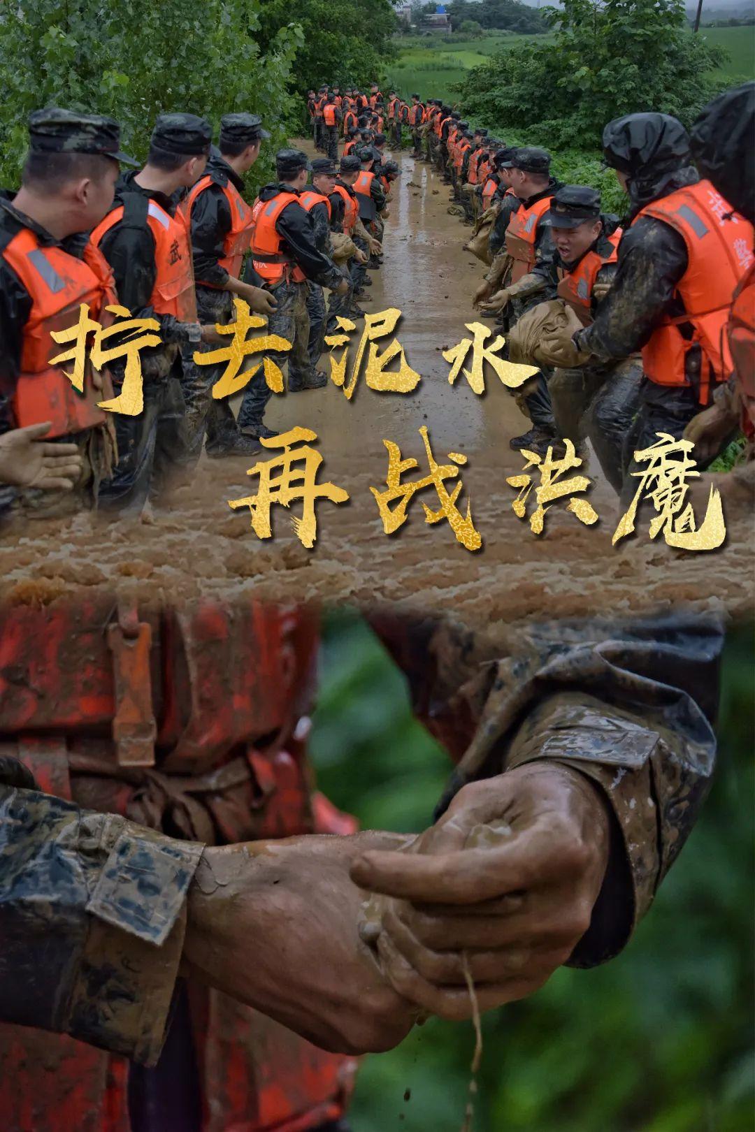 致人民子弟兵
 
浊浪翻涌吞南疆村落
危堤之上，是你们挺立的轮廓
 
踏泥水，扛