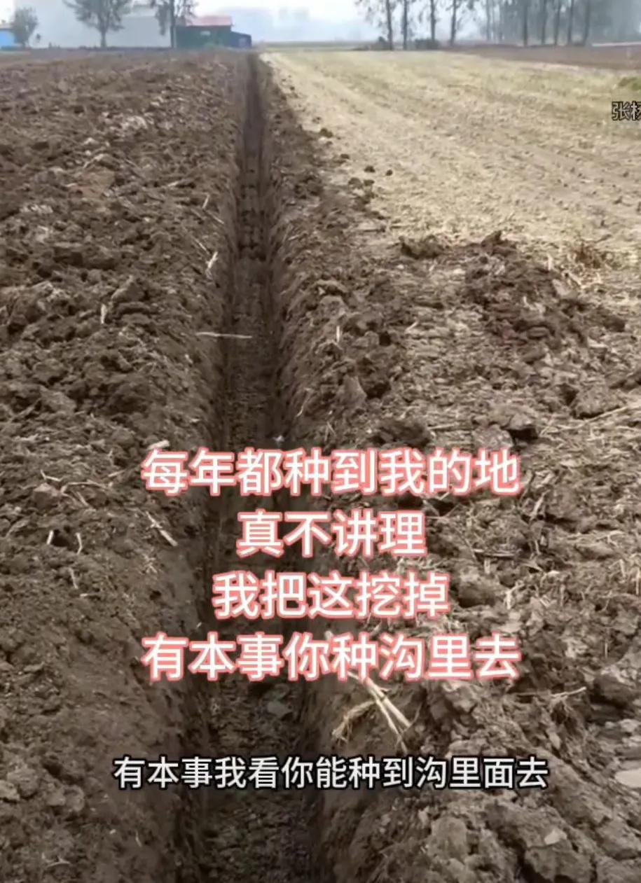 每年都种到我的地里，
真不讲理，
我把这挖出来
有本事你种沟里
没见过这么不讲理