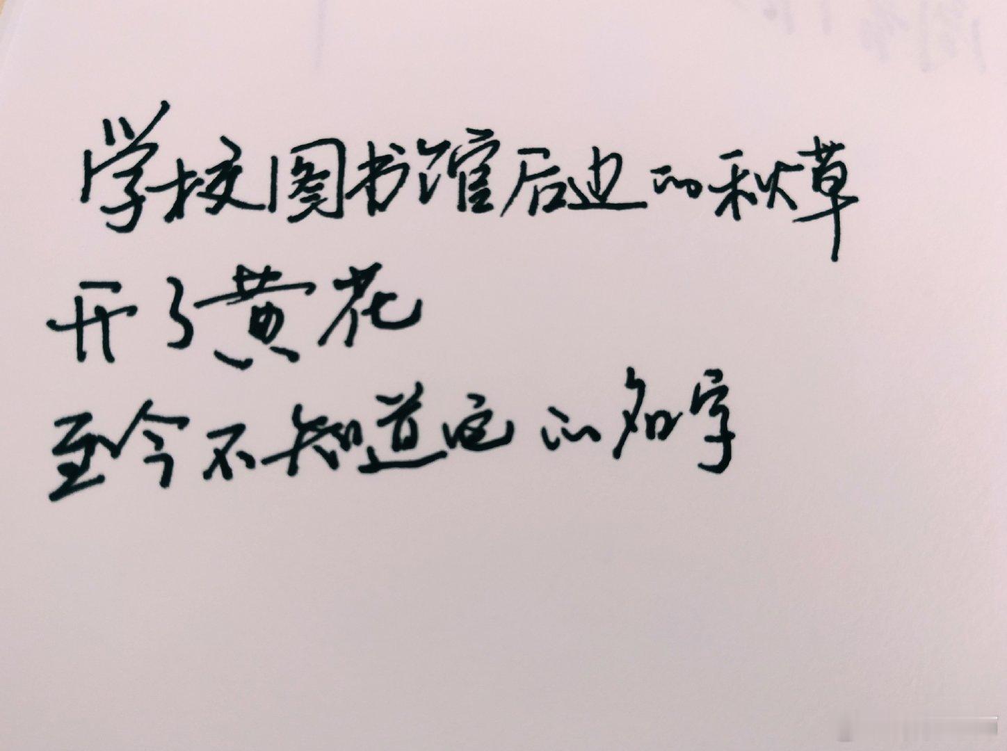 今日石川啄木 