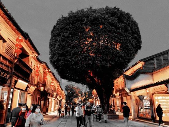 去福州游玩回来，总结以下17点建议，必看的旅游攻略

1.去湖州户外游玩，一定要