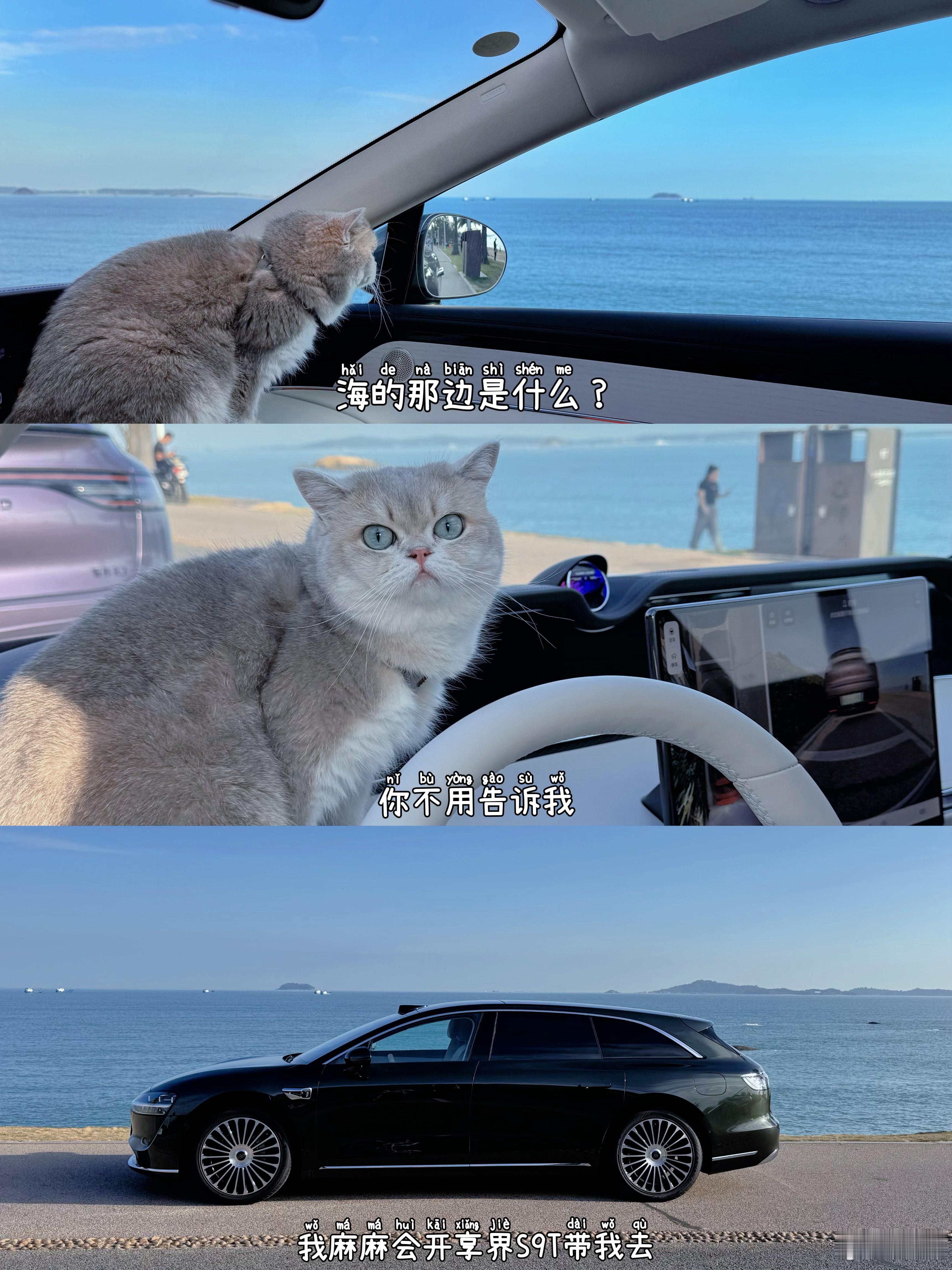 今天带林妹妹出去兜风啦，一路上都好乖，到了海边看了好久的海。有自己的车真好啊，再