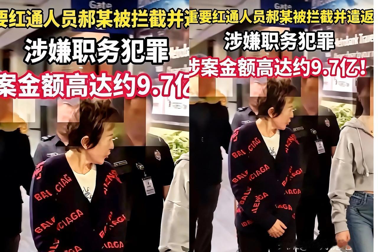 11亿的白天辉刚判死刑，
这股劲儿还没过去。
现在又来个近10亿的郝某。
我都有