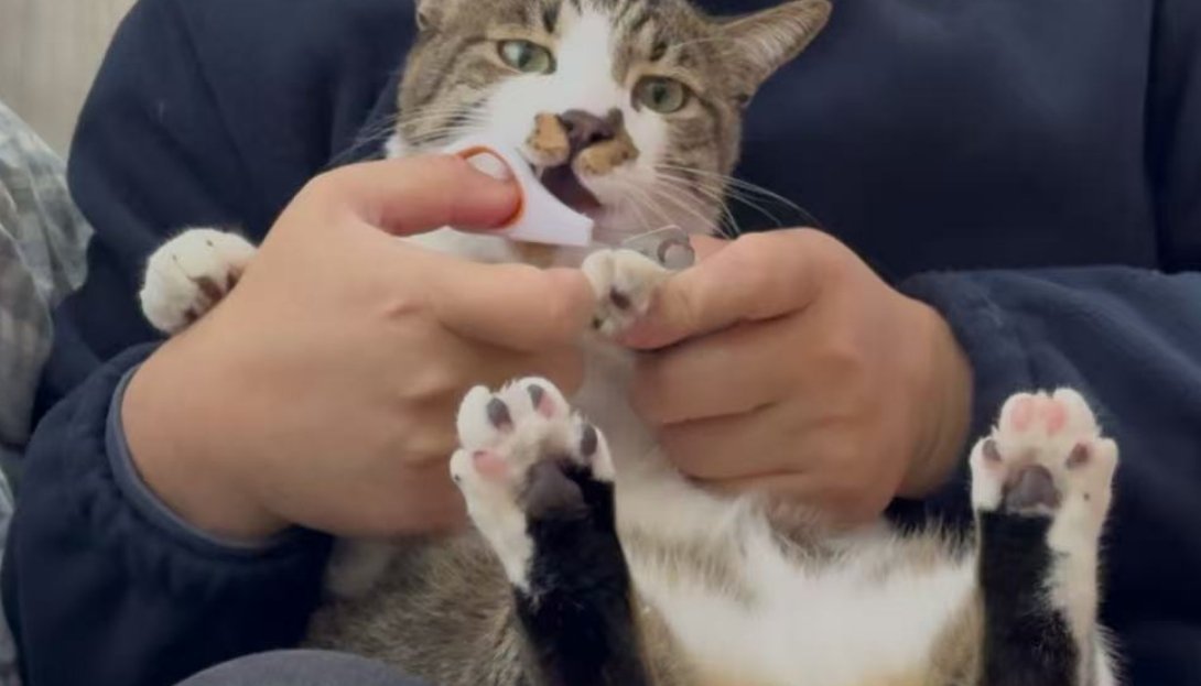 签到签到签到签到我一觉睡到现在           