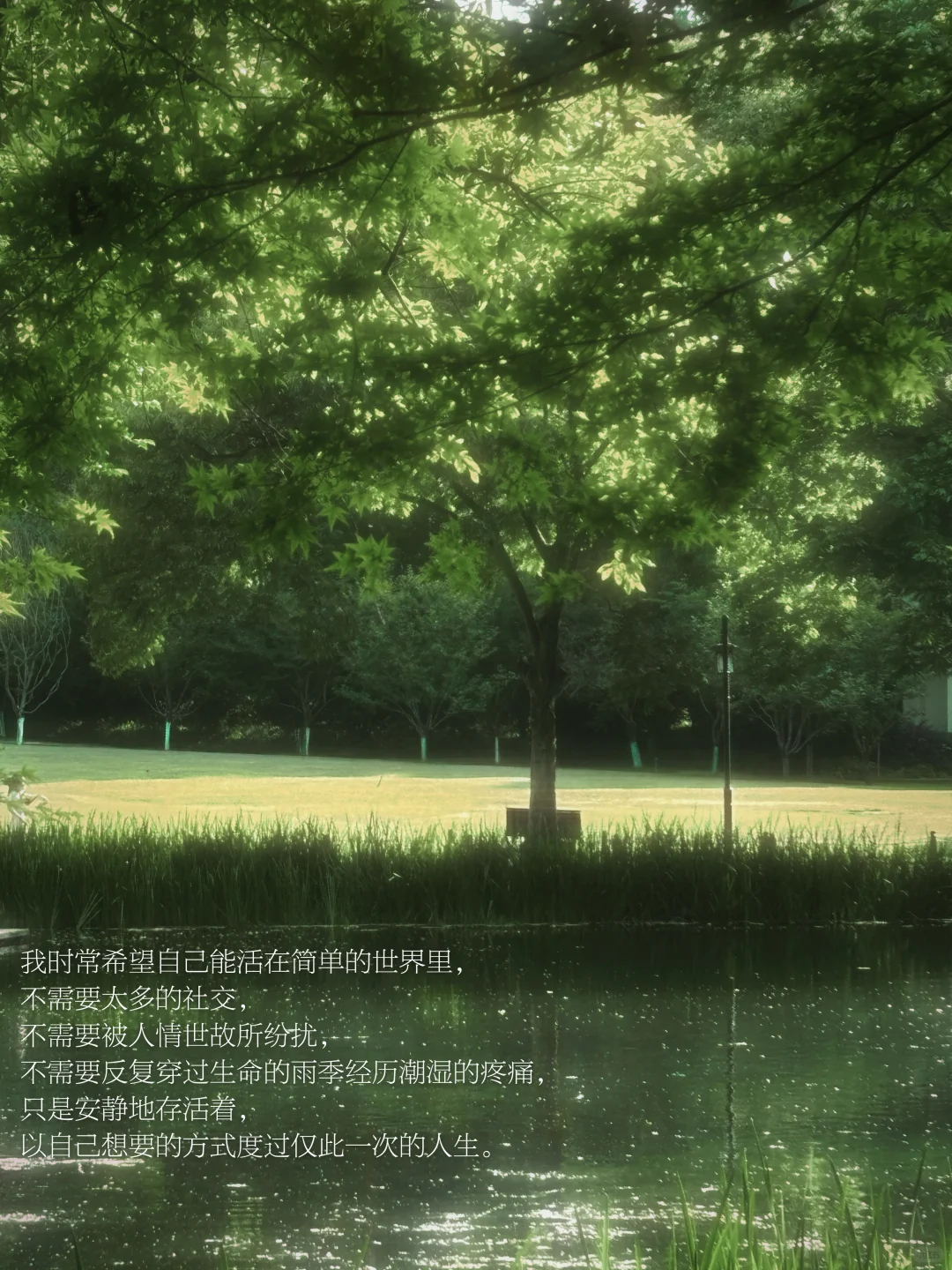 INFJ的生命需要纯粹的事物。