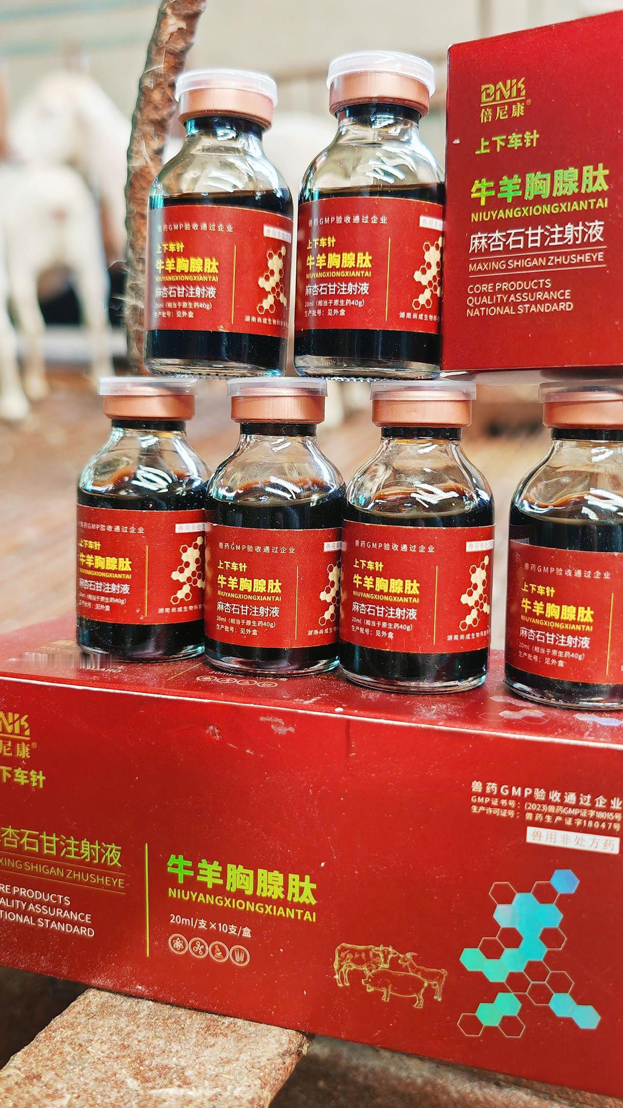 养羊人 农村养羊