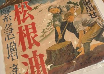日本又盯上松树了，只是这次不是“松根油”，而是“松脂石墨”。
问题是松树能解决供