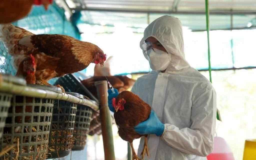 乌拉圭政府当地时间2月24日宣布因高致病性H5型禽流感发布全国卫生紧急状态。
此