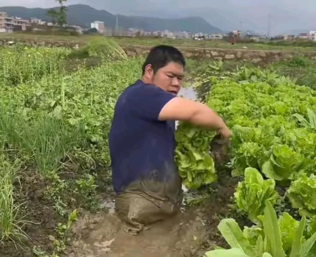 近日，在广东山区里一网友透露，一位在山区的青年男子因为一次意外事故而失去了双腿，