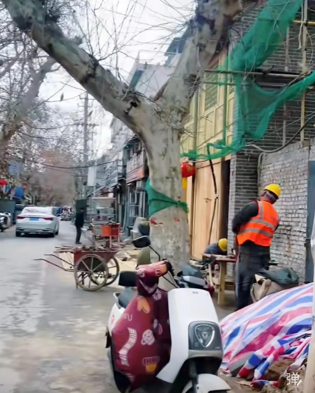 民主街、解放路、八一路，工农路这片老街区，是南阳人的根。
发现今年的改造力度好像