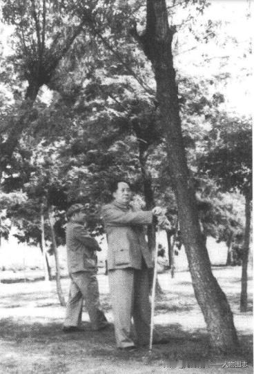 毛泽东在杭州