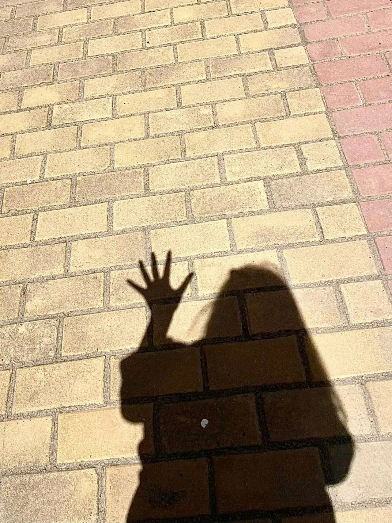 Ö椰 ʷºʷ：一 二 三 四 五  快樂星期✋🏻 ​​​