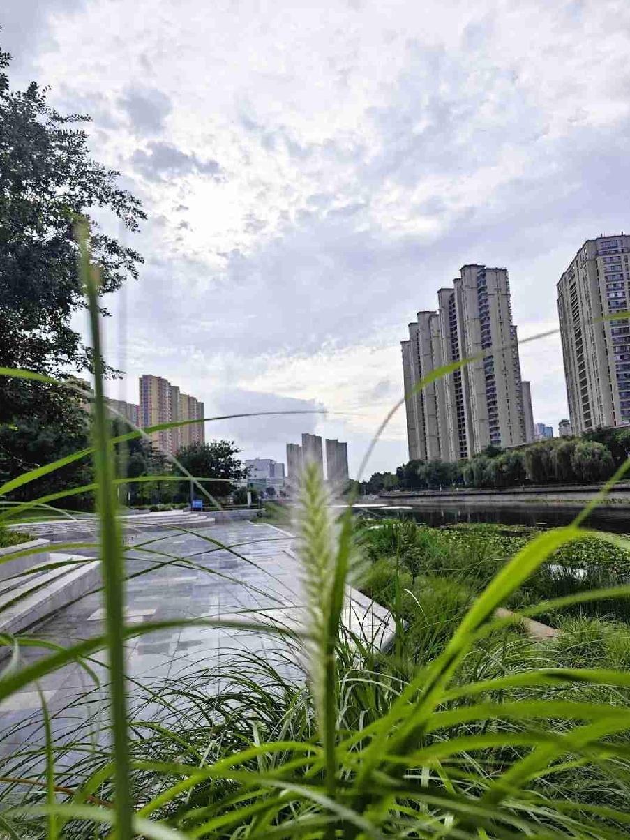 自打入伏后，一场场细雨冲刷走了燥热，让空气变得清新通透，体感温度显著降了下来。