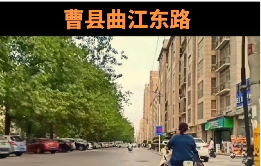 曹县曲江东路杨树清理了
解决了飘絮问题