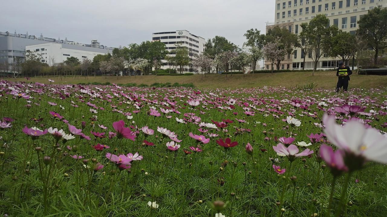 春天来了