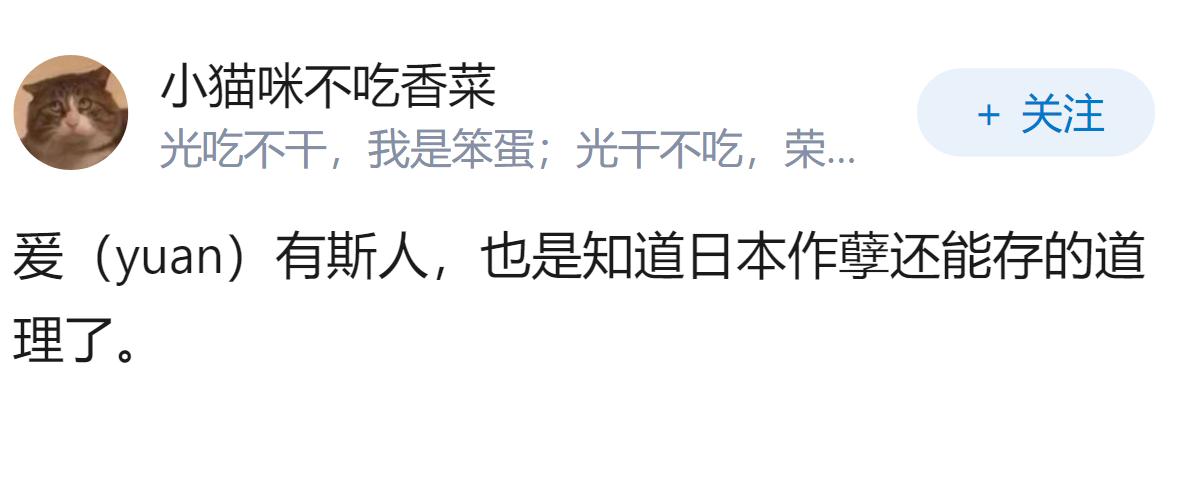如何评价山上彻也妹妹在公审上所说的话?