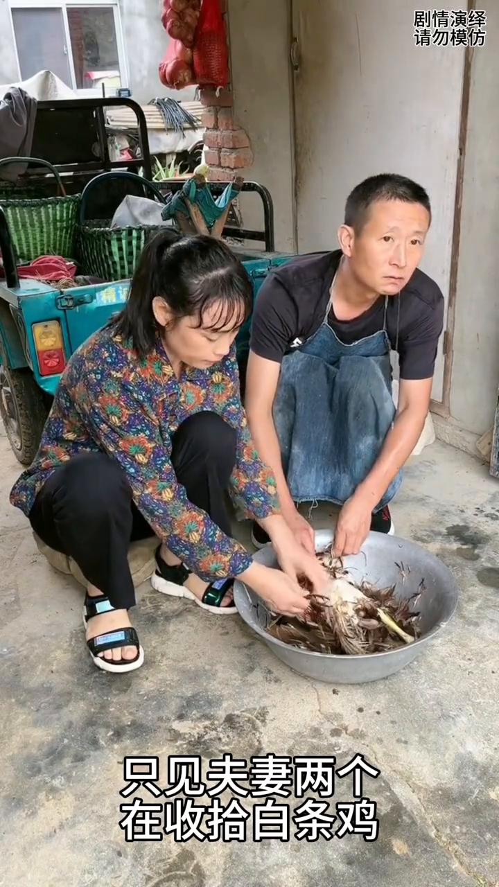 夫妻两个摘鸡毛时丈夫分神看美女，下一秒媳妇看到也是一脸懵。
中午做饭时到了，只见