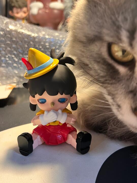 谁给抢走了悠布的帽子