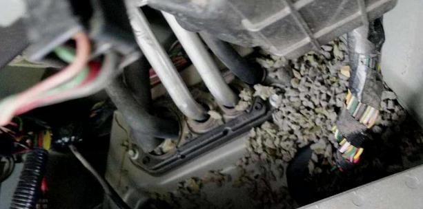 假期回家如果准备长时间不开车，一定要做好这些准备，防止你的车子受到损害！


