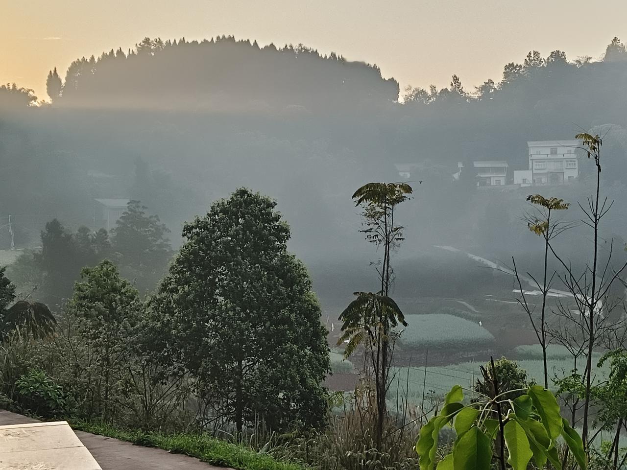 唯见故乡山和水，不见梦里那个人

(图片拍于桃花村。2026年4月3日。)
归乡