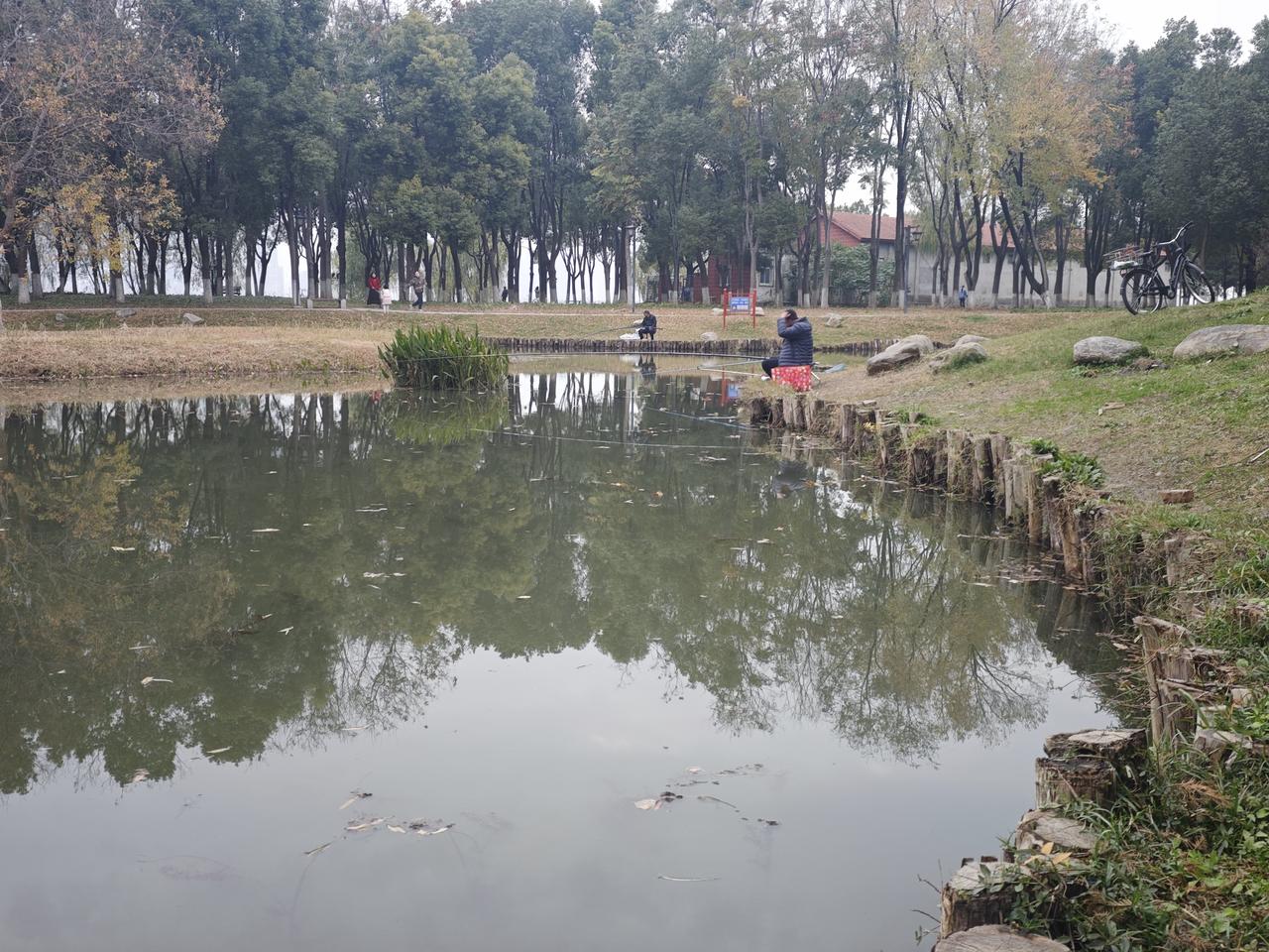 阿隆索带皇马确实有点难顶。TA分析过，皇马球员可都是老板身份，像姆巴佩、维尼修斯