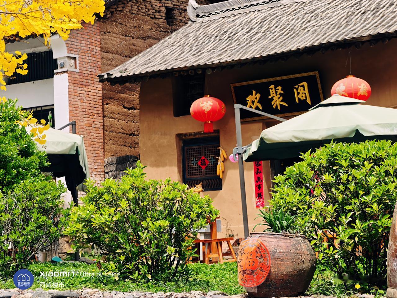 秦岭山里有美景，春天的气息扑面而来，直醉人心！