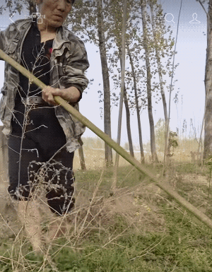这鱼死了几天了吧，都变色了，他自己还抖一抖![捂脸]