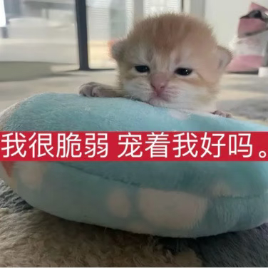 感觉这两天理我的人很少 