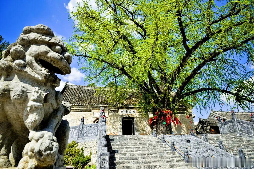 南阳淅川暑期福利直接封神！丹江大观苑、八仙洞等多家景区对青少年、高考生免票，高考