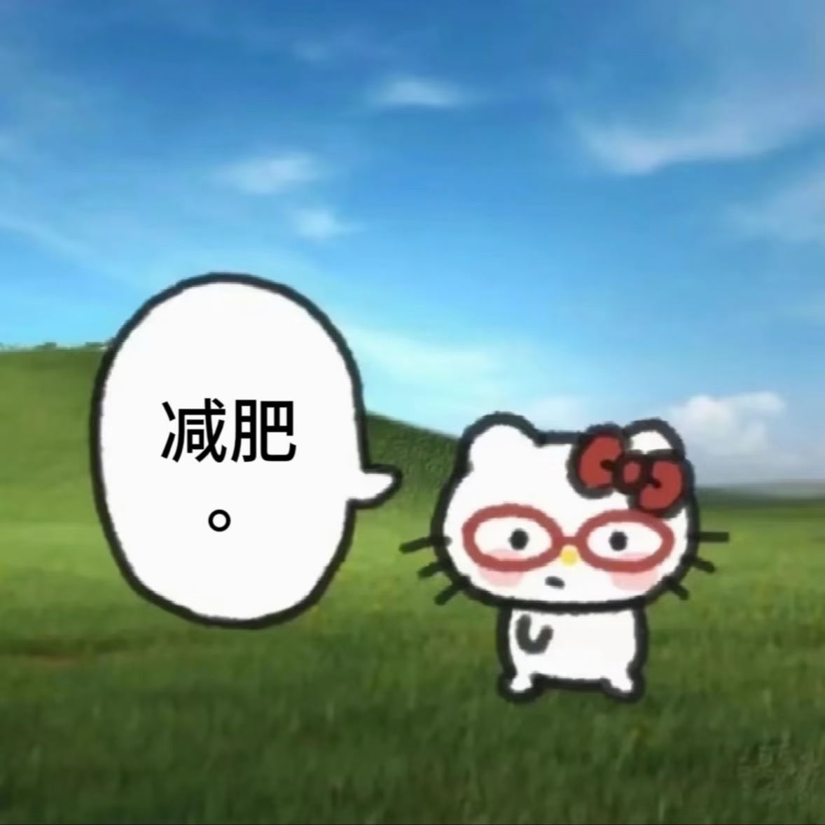 饿 就是爽1.饿的咕咕叫 就是不吃 好爽2.看到好吃的能忍住不吃 好爽3.看到五