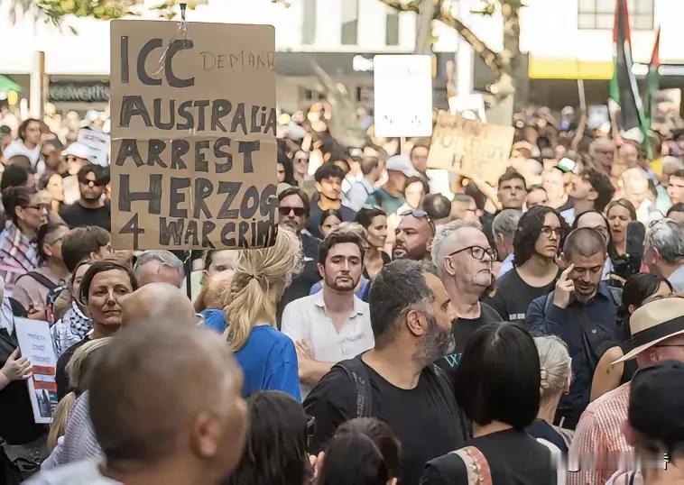澳大利亚这次可热闹了！当地时间2月9日，以色列总统赫尔佐格到访，悉尼、墨尔本等多