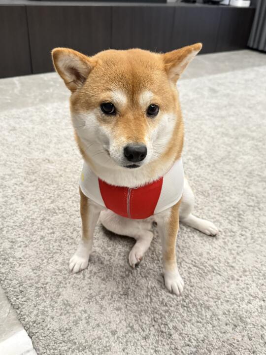 我穿红色很显白 不是吗？