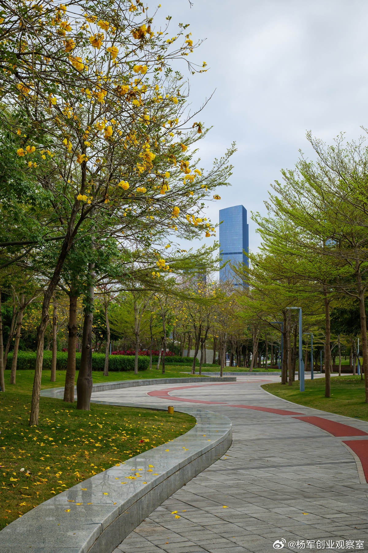 当企业需要吸纳国际资本（尤其是美元基金）来实现快速扩张时，目的地就决定了路径。搭