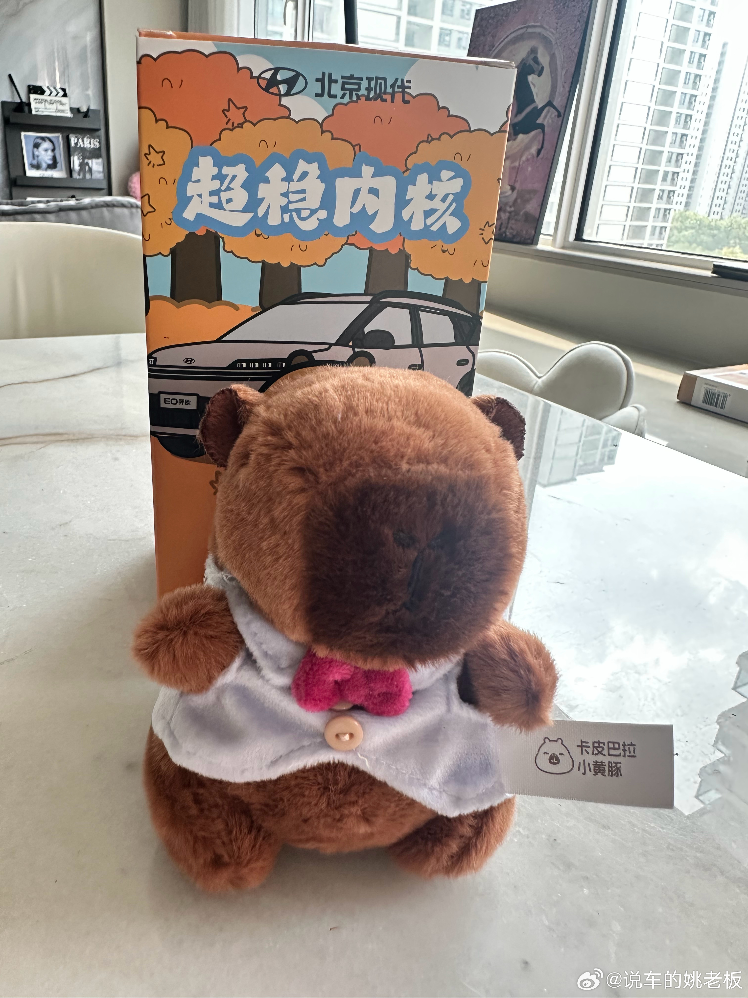 评论区给大家抽两个卡皮巴拉玩偶，非常可爱，看看谁幸运 ​​​