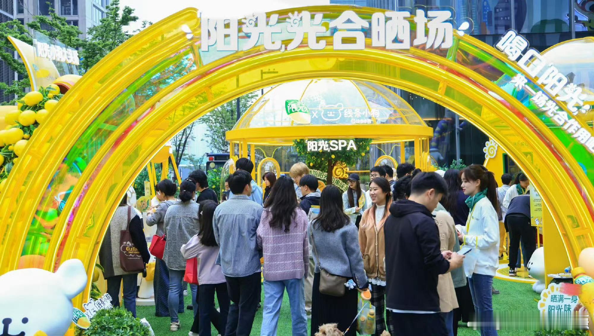 春天的杭州也太适合人类光合作用了在杭州被春天狠狠治愈，阳光、市集、可爱小狗联名一