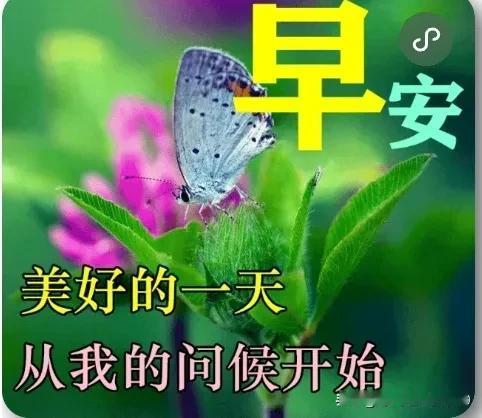 新的一天开始了，愿我的问候给你带来健康、幸福、快乐，万事顺心顺意，天天开心！🌹